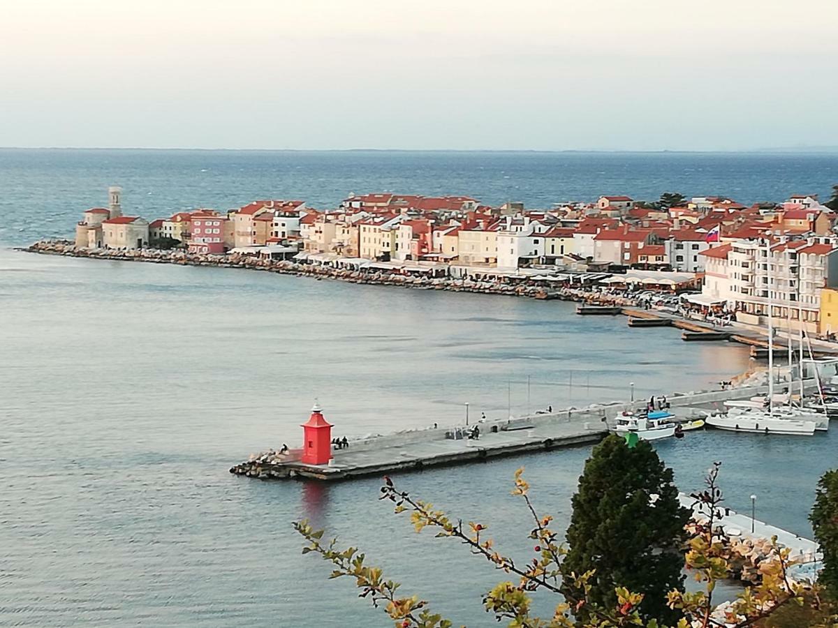 Apartmán Nono Mario Piran